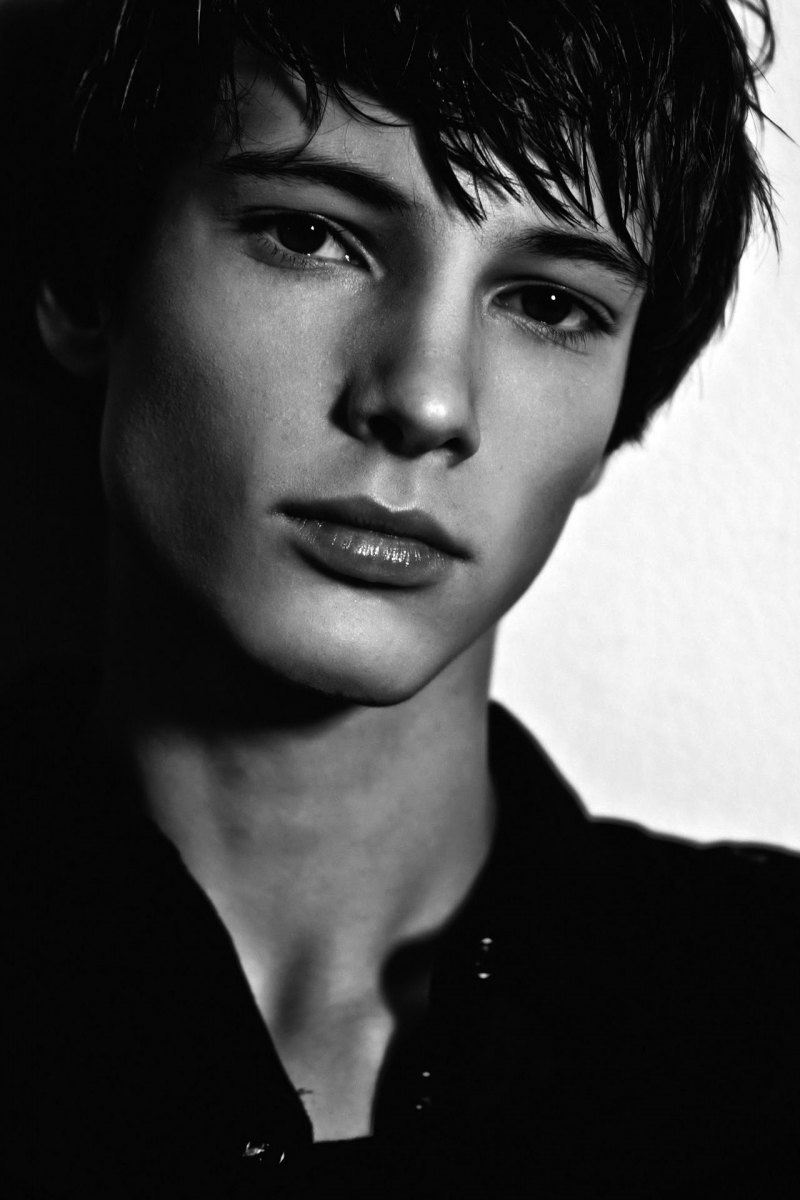 Модель Jaco van den Hoven 2019