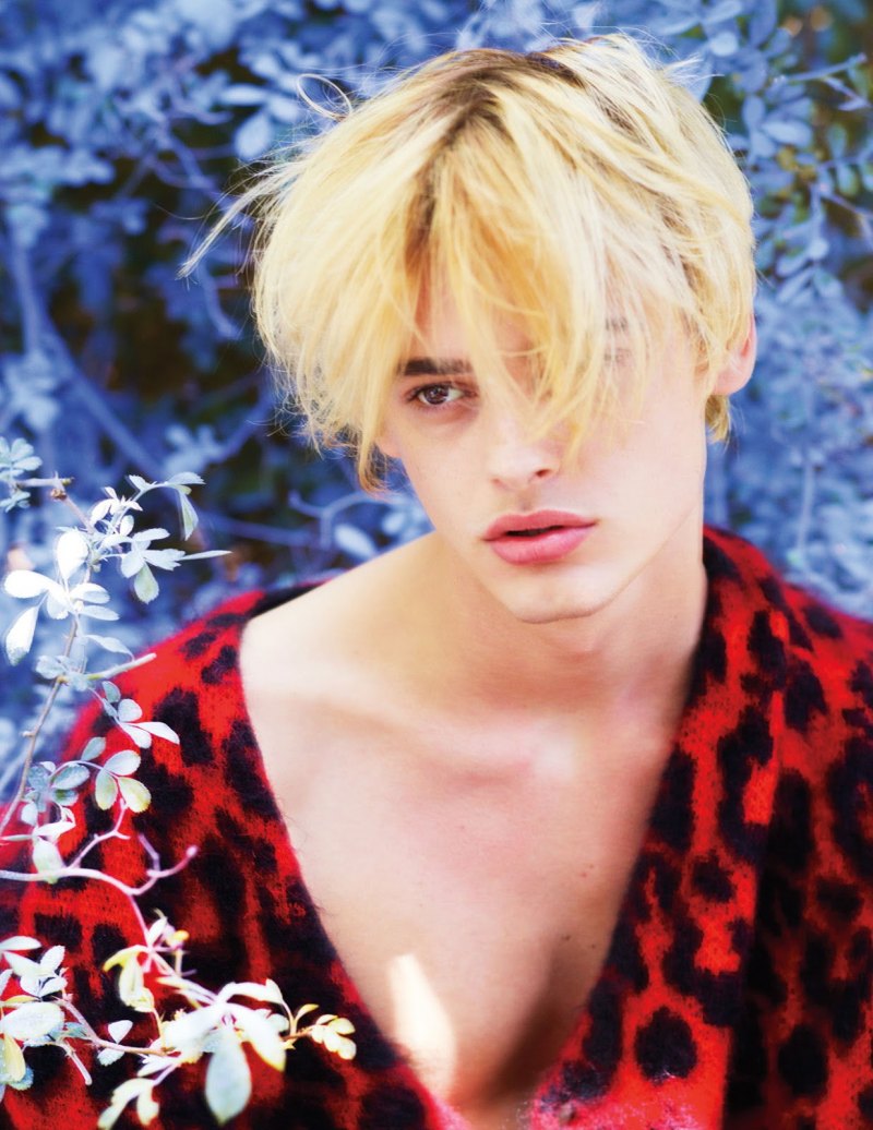 Лестат де Лионкур