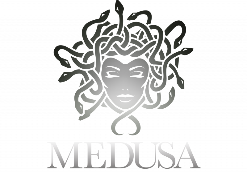Джанни Версаче медуза Горгона
