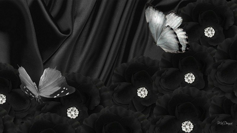 Нюдовые пионы