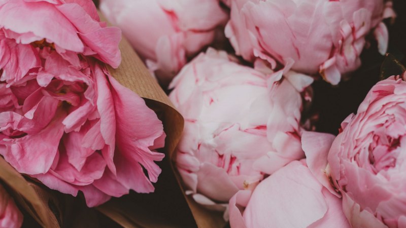 Черно-белый цветок