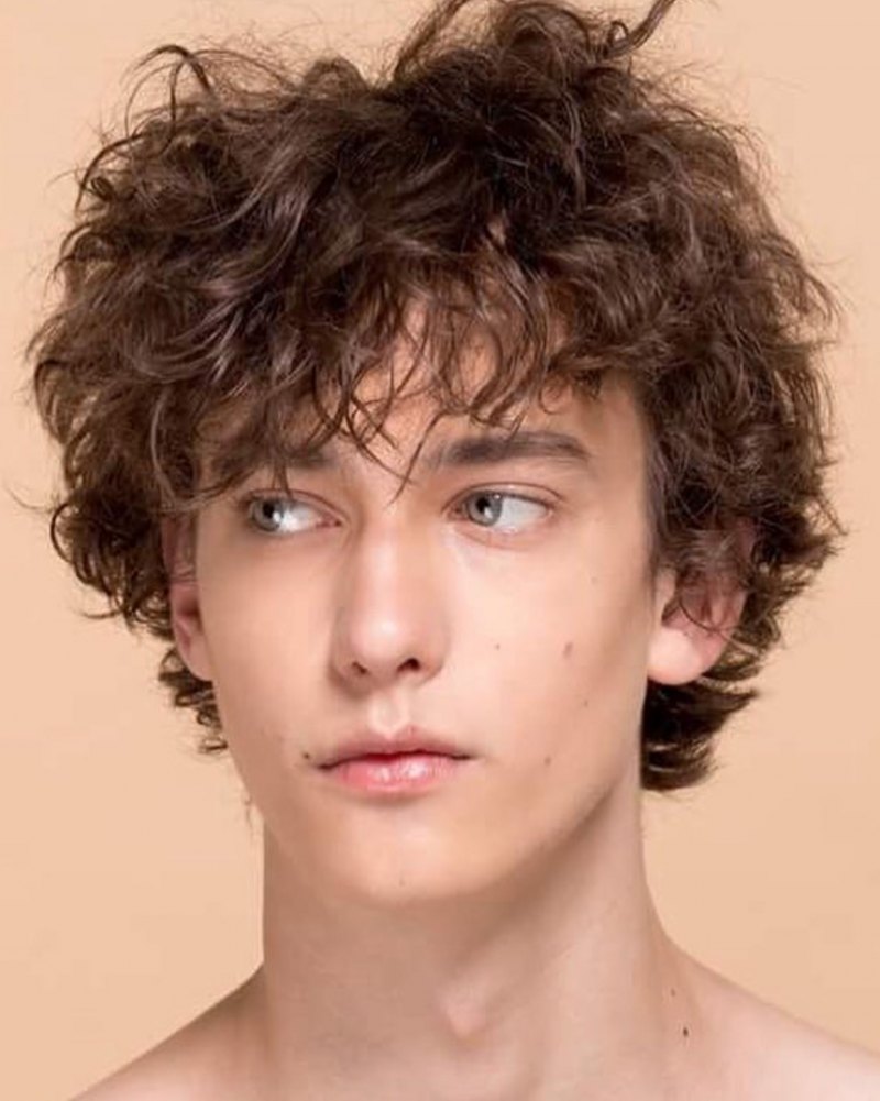 Тимоти Шаламе кудрявый