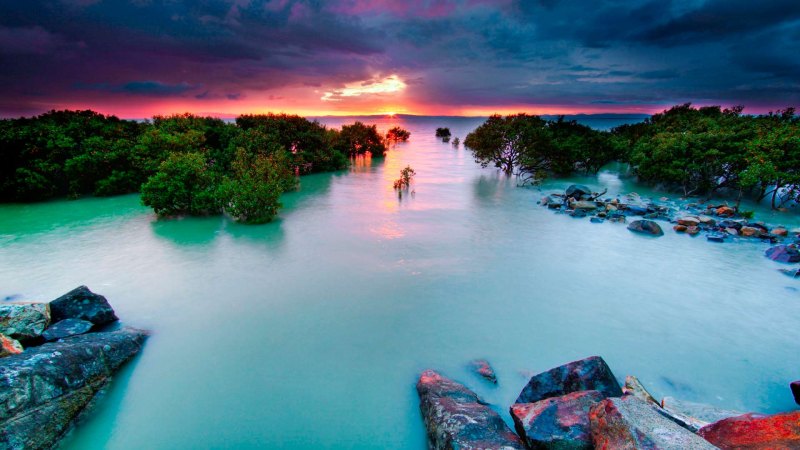 Красивый пейзаж