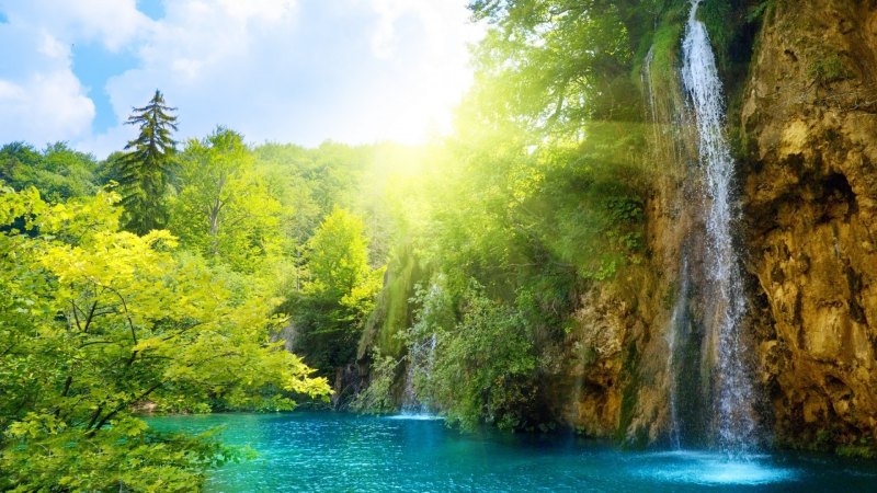 Телевизор Орион 40