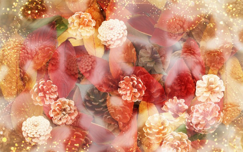 Красивый фон для коллажа