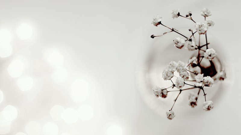 Фон для календаря