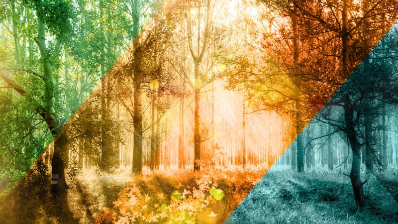 Фон для коллажа