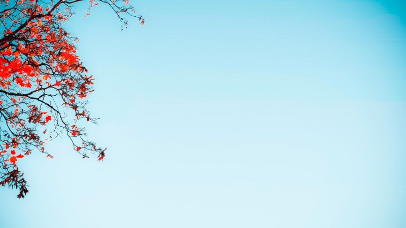 Фон для презентации Минимализм