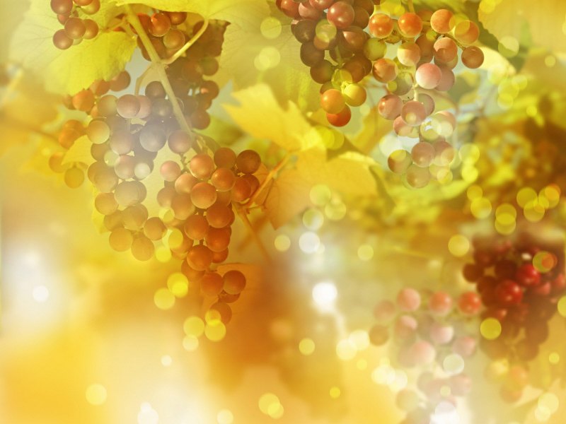 Абстрактный фон осень