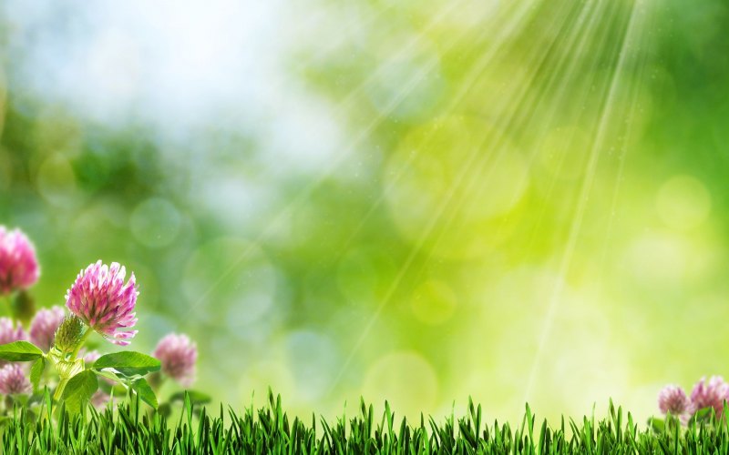 Природный фон