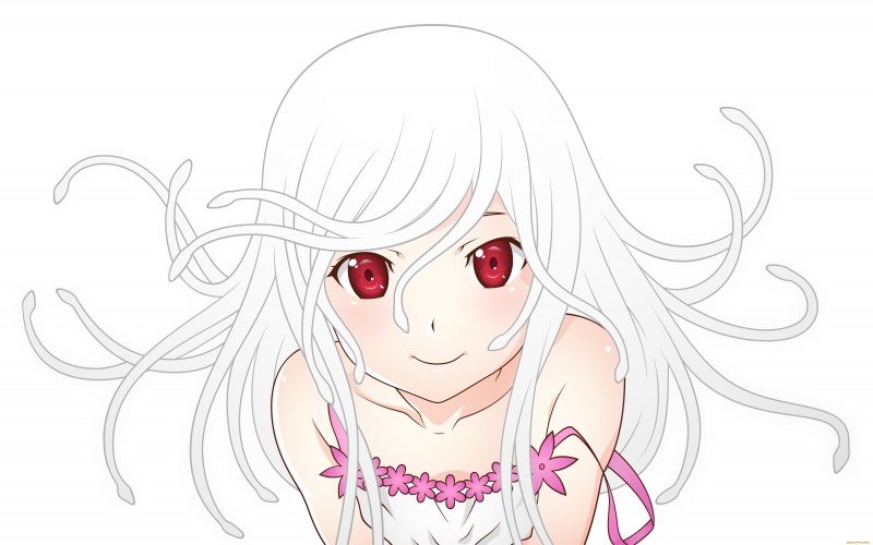 Сенгоку Надеко аниме