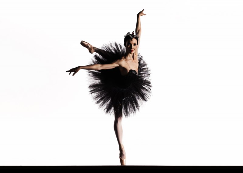 Лебединое озеро черный лебедь