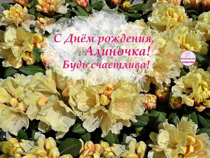 С днём рождения Алиноча