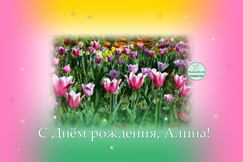 С днем рождения Алина цветы