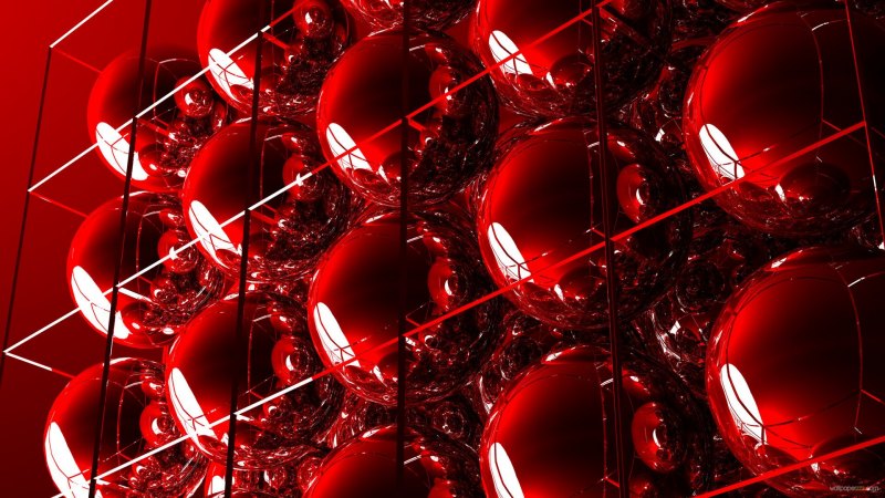 Лепестки красных роз