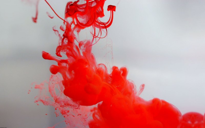 Красно белые цветы