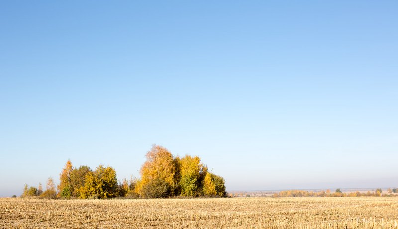 Октябрь поле