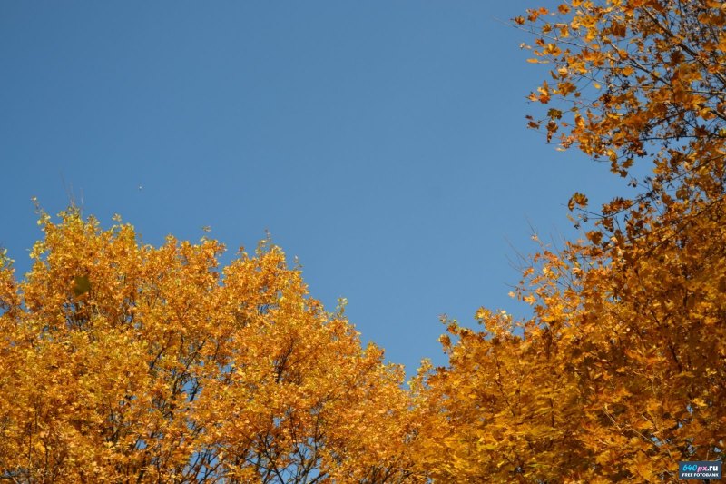 Лазурное небо осенью