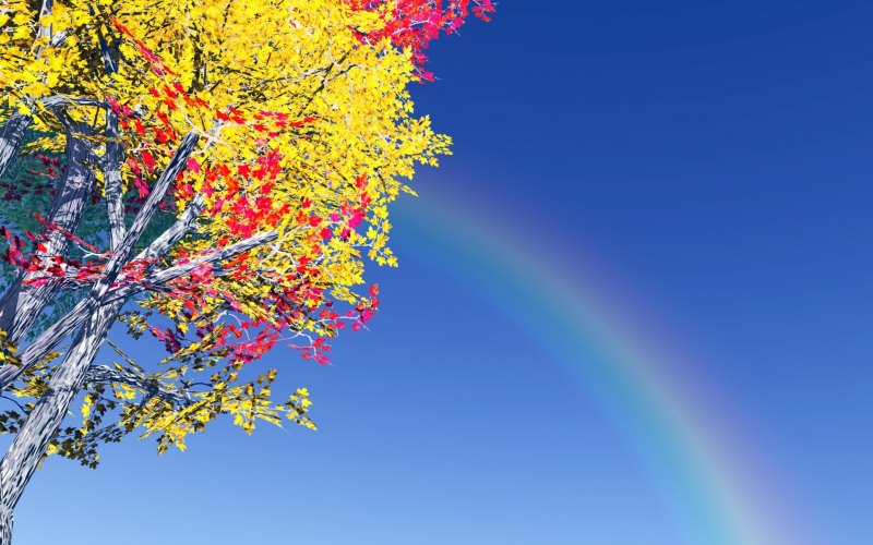 Яркие краски природы