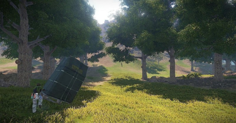 Дубрава раст