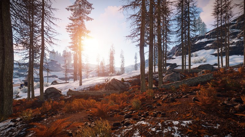 Раст атмосфера