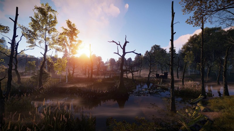 Раст болото