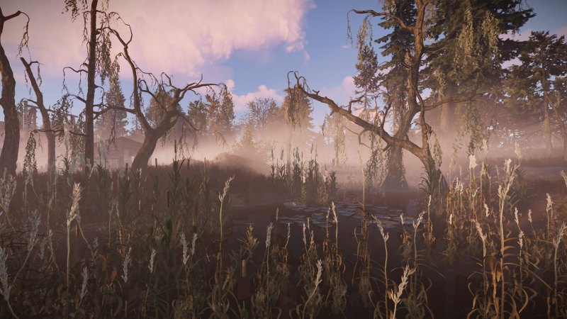 Раст на рабочий стол