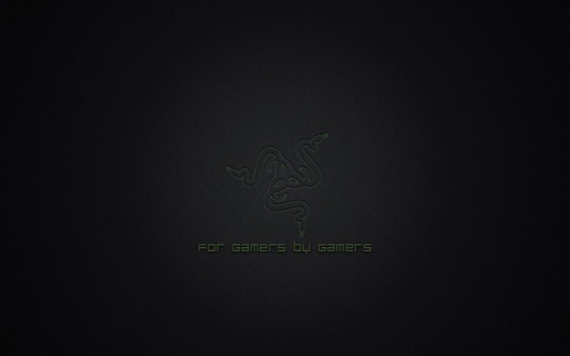 Обои рейзер 1920 1080