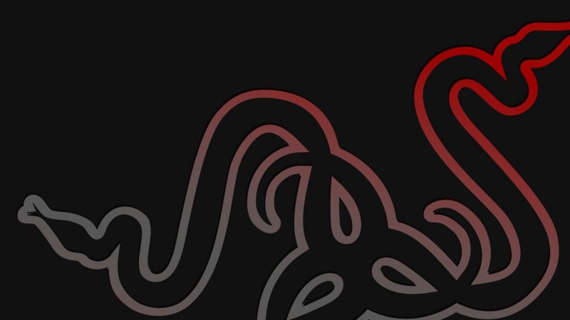 Нина райзер