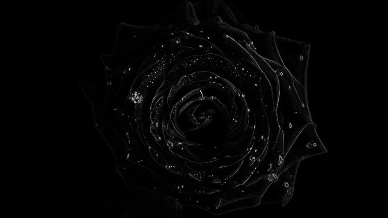 Красивые темные обои