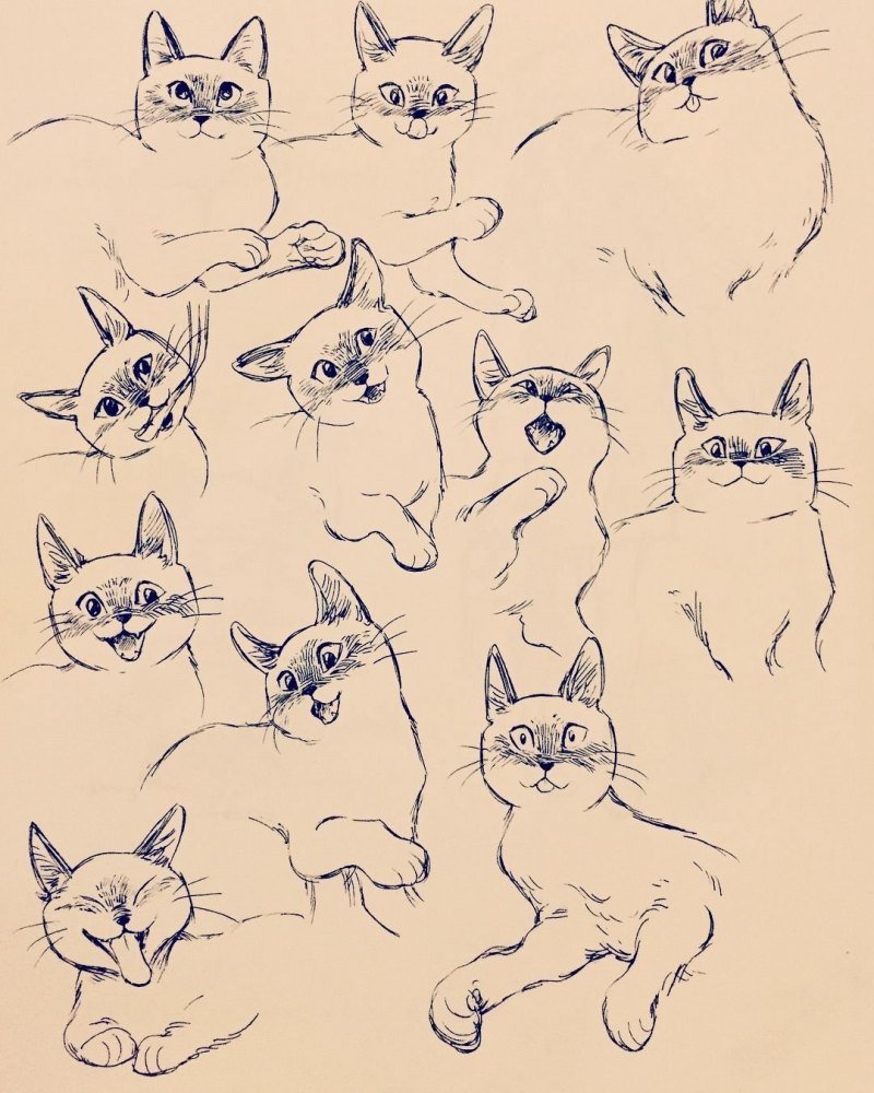 Стилизованный кот смешной