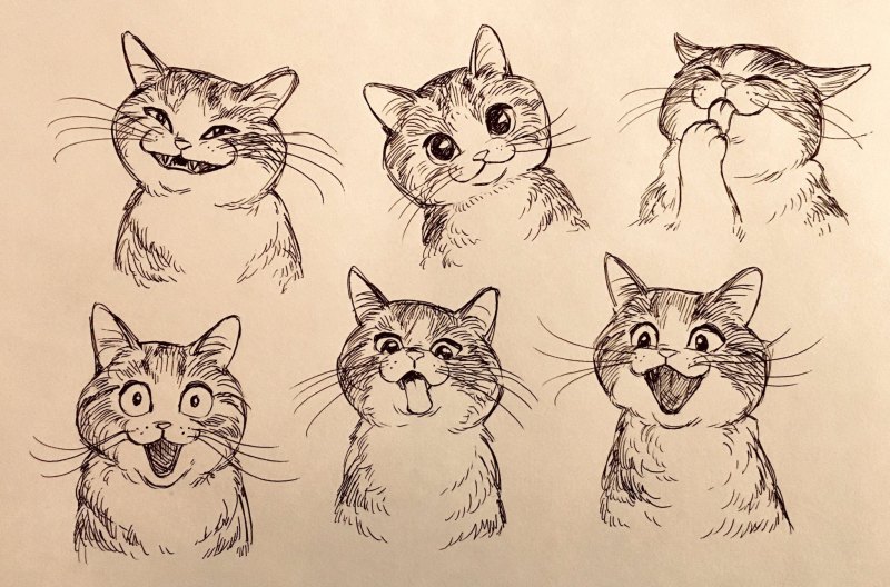 Котик скетч