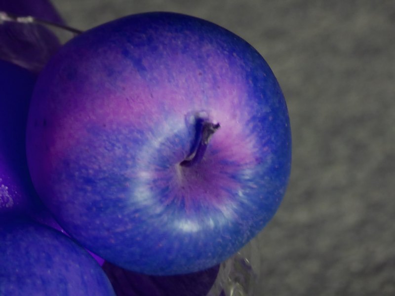 Синие яблоки сорт