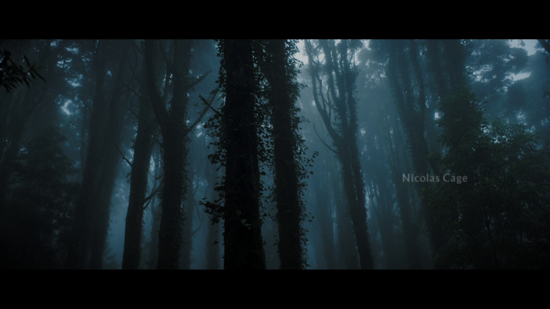 Серо-буро-малиновый цвет