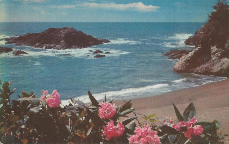 Природа Эстетика море