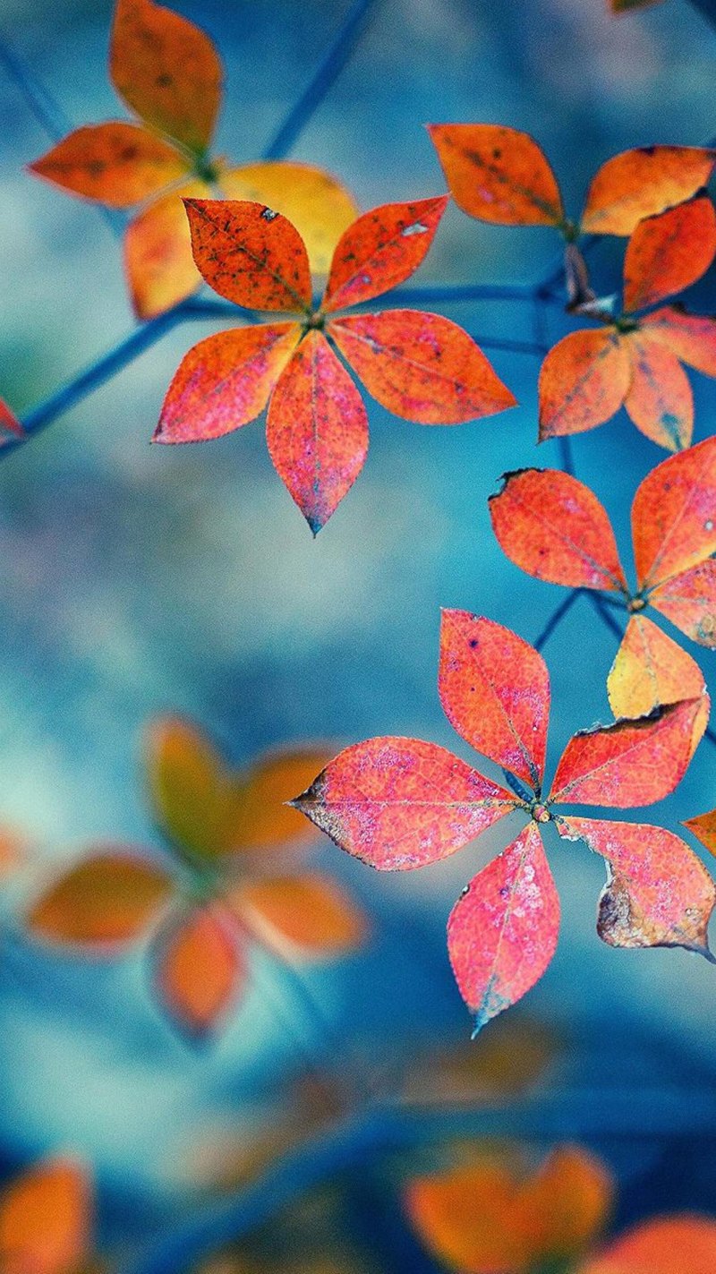 Осень на андроид