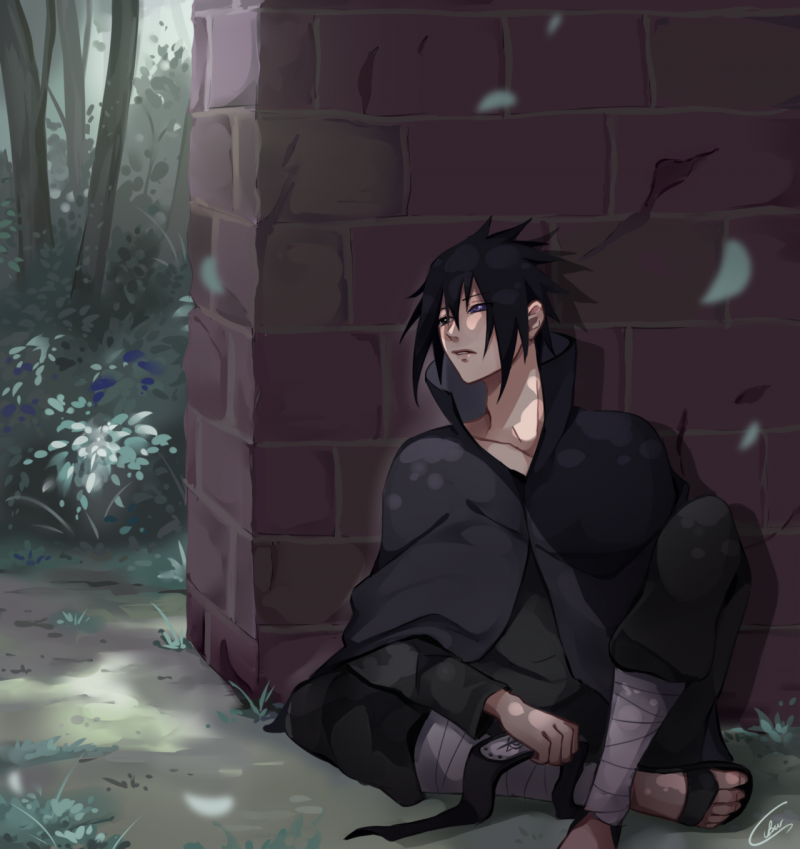 Саске аниме 2 сезон