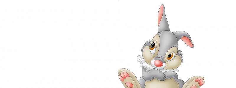 Заяц выглядывает