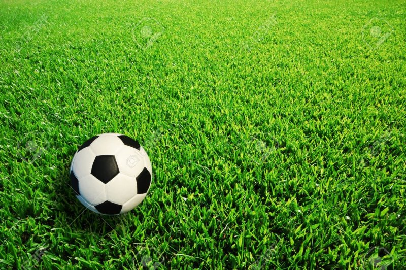 Футбольный мяч кожаный на траве