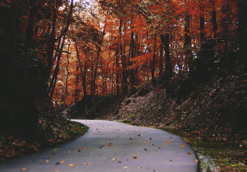 Осень тумблер