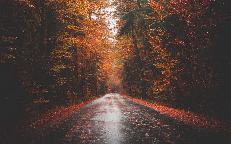 Осенняя дорога