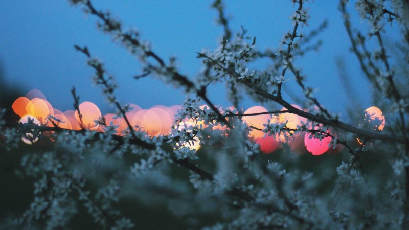 Осень Эстетика