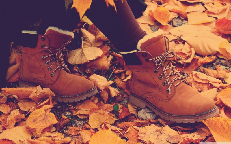 Обувь на осень