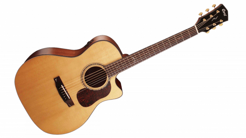 Cort Gold-a6-NS