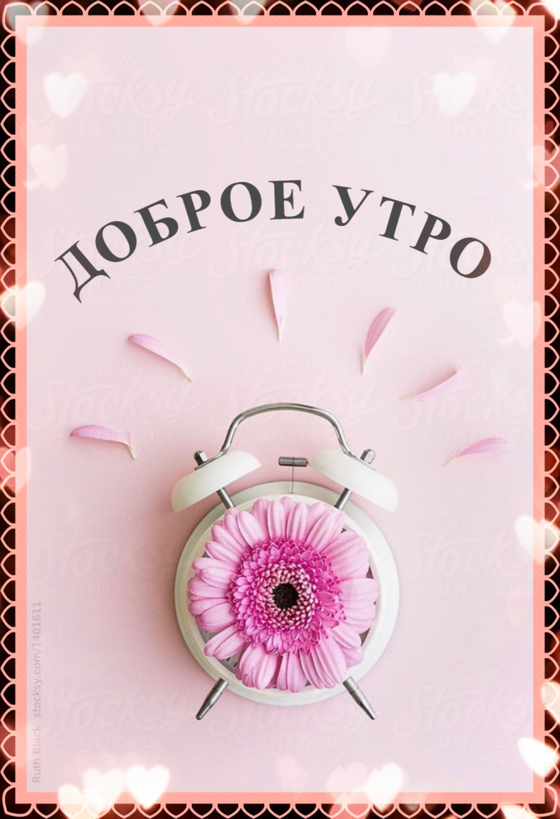 Свободные окна для записи