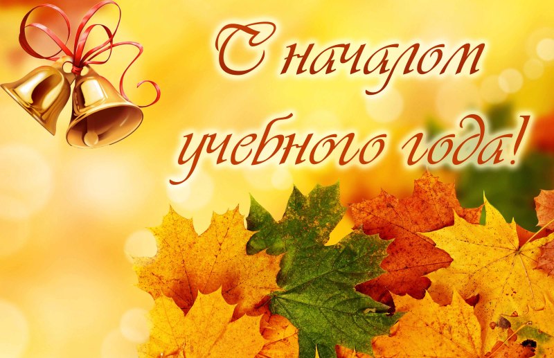Осенние листья