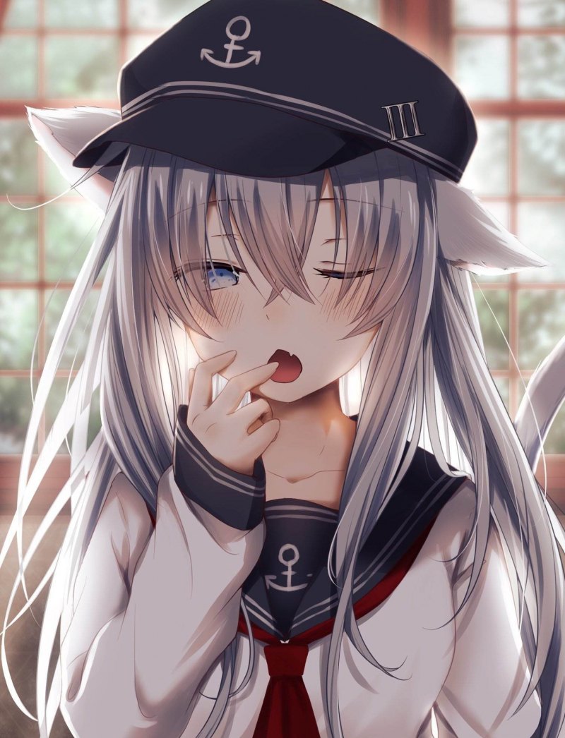 Hibiki kantai неко