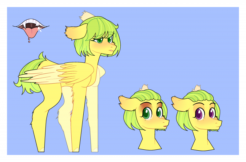 Susie Pony Town