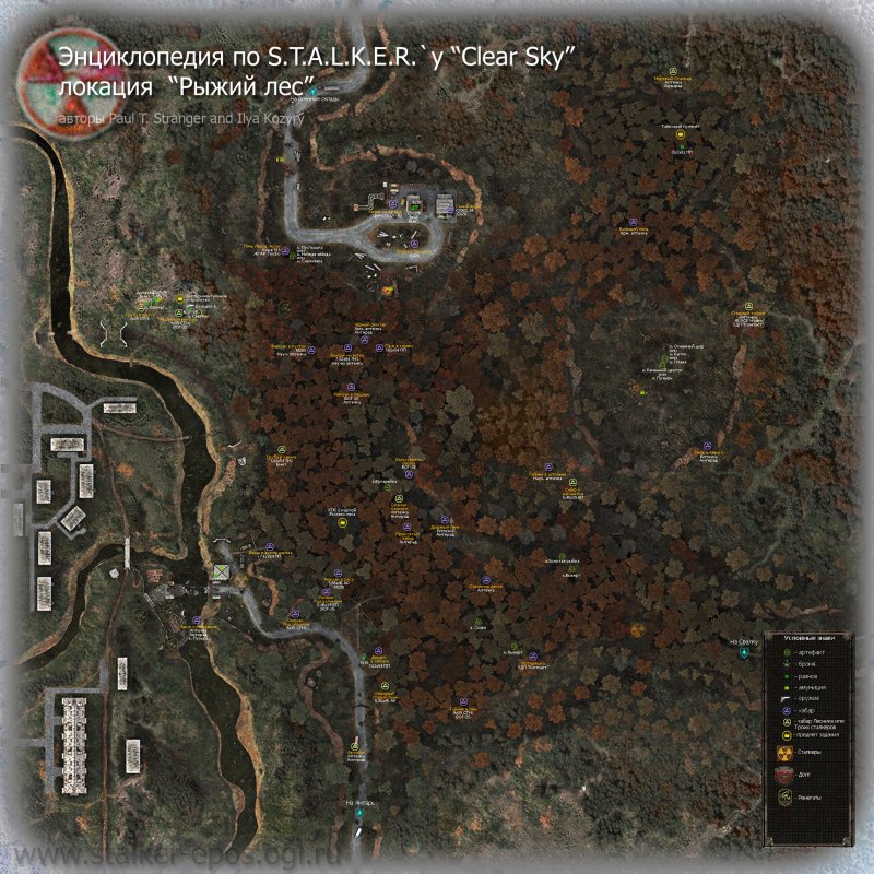 Stalker чистое небо тайники рыжий лес
