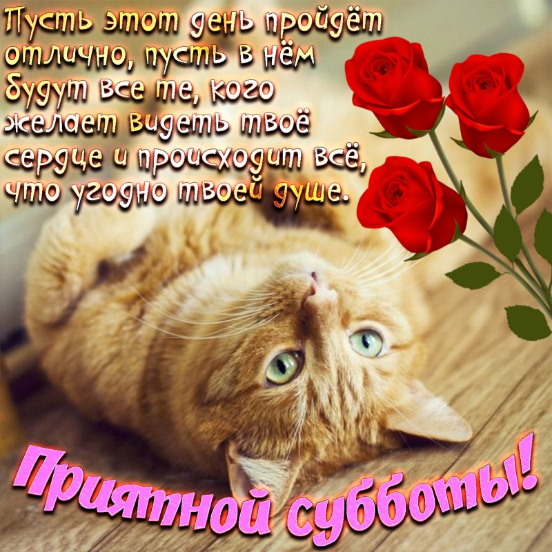 Пожелания на субботу